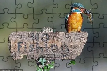 natural jigsaw puzzle