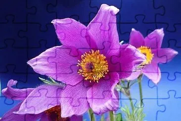 flores jigsaw puzzle