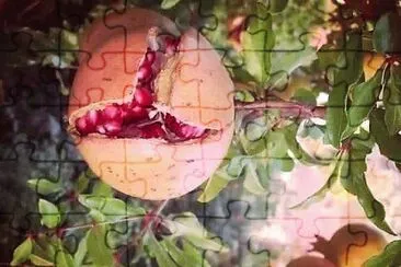פאזל של frutas