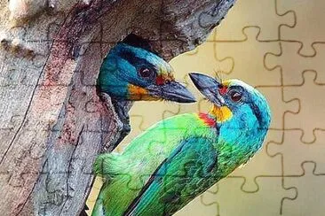 natural jigsaw puzzle