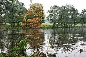 Locko Park Lake