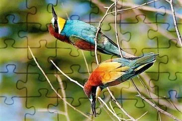 natural jigsaw puzzle