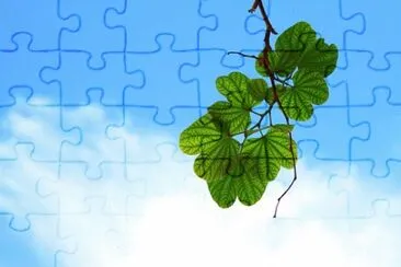 Imagem jigsaw puzzle