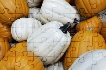 general jigsaw puzzle