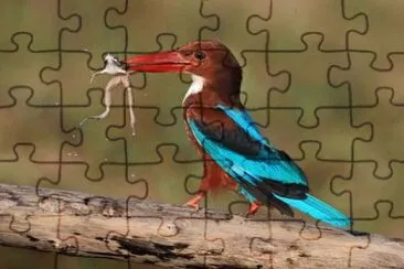 Imagem jigsaw puzzle