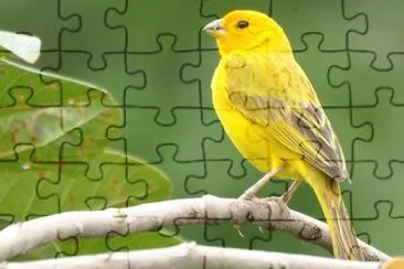 Imagem jigsaw puzzle