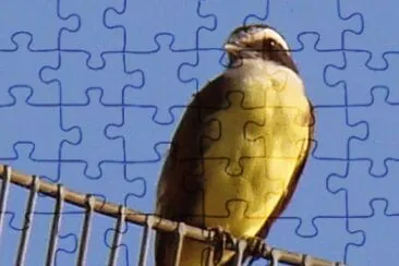 Imagem jigsaw puzzle