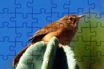 Imagem jigsaw puzzle