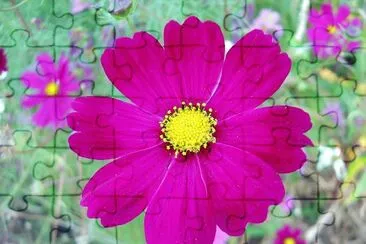 flores jigsaw puzzle