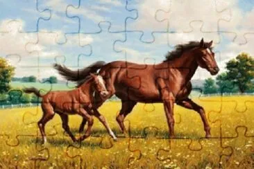 Imagem jigsaw puzzle