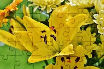 Imagem jigsaw puzzle