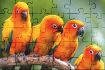 Imagem jigsaw puzzle