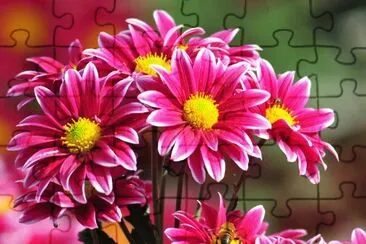 Imagem jigsaw puzzle