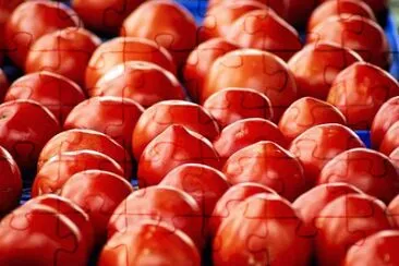 Imagem jigsaw puzzle