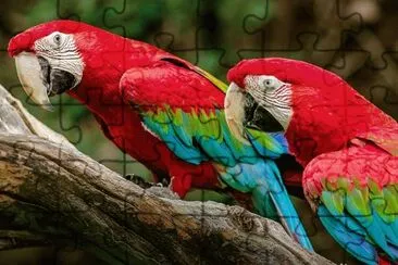 Imagem jigsaw puzzle