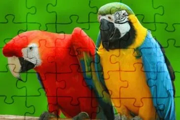 Imagem jigsaw puzzle