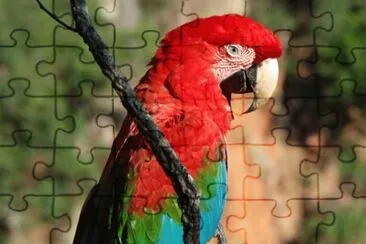 Imagem jigsaw puzzle
