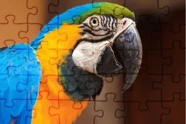 Imagem jigsaw puzzle