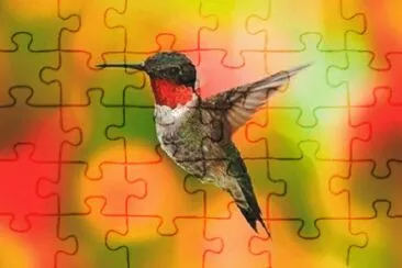 Imagem jigsaw puzzle