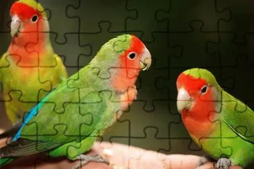 Imagem jigsaw puzzle