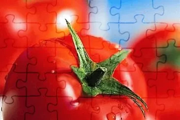 natural jigsaw puzzle