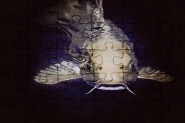 Imagem jigsaw puzzle