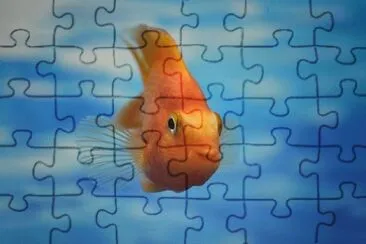 פאזל של Imagem