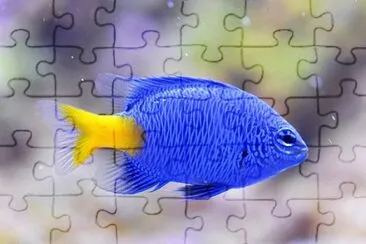 Imagem jigsaw puzzle