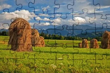 Imagem jigsaw puzzle