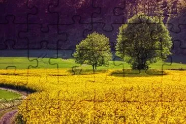 Imagem jigsaw puzzle