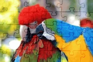 Imagem jigsaw puzzle