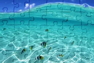 Imagem jigsaw puzzle