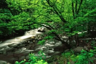 Imagem jigsaw puzzle
