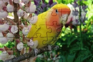 Imagem jigsaw puzzle