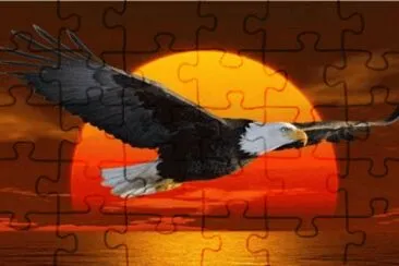 פאזל של Imagem