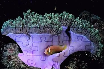 natural jigsaw puzzle
