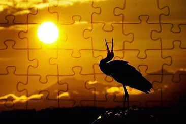 natural jigsaw puzzle