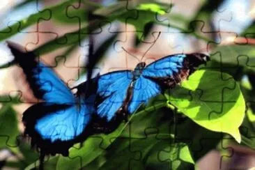 Imagem jigsaw puzzle