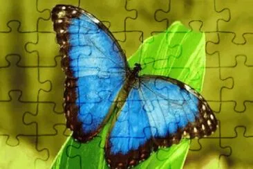 Imagem jigsaw puzzle