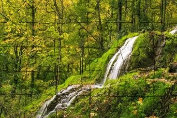 Imagem jigsaw puzzle