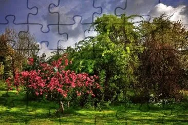 Imagem jigsaw puzzle
