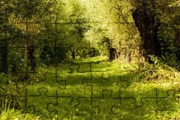 Imagem jigsaw puzzle