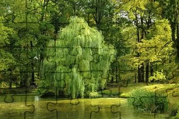 Imagem jigsaw puzzle