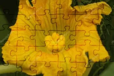 Imagem jigsaw puzzle