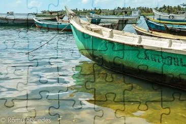 natural jigsaw puzzle