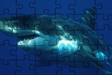 Imagem jigsaw puzzle