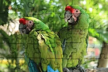 Imagem jigsaw puzzle