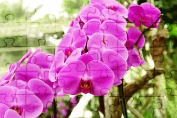 Imagem jigsaw puzzle