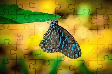 Imagem jigsaw puzzle