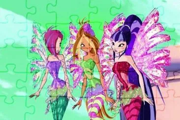 tfm jigsaw puzzle